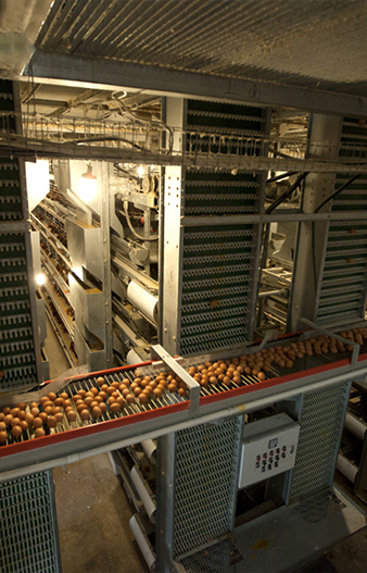 Другое сопутствующее оборудование