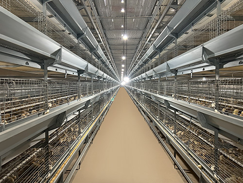 Полностью автоматическое выращивание и разведение типа H